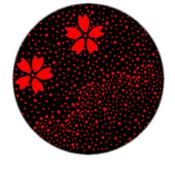 Broche épingle de couleur argent fleur rouge fond noir